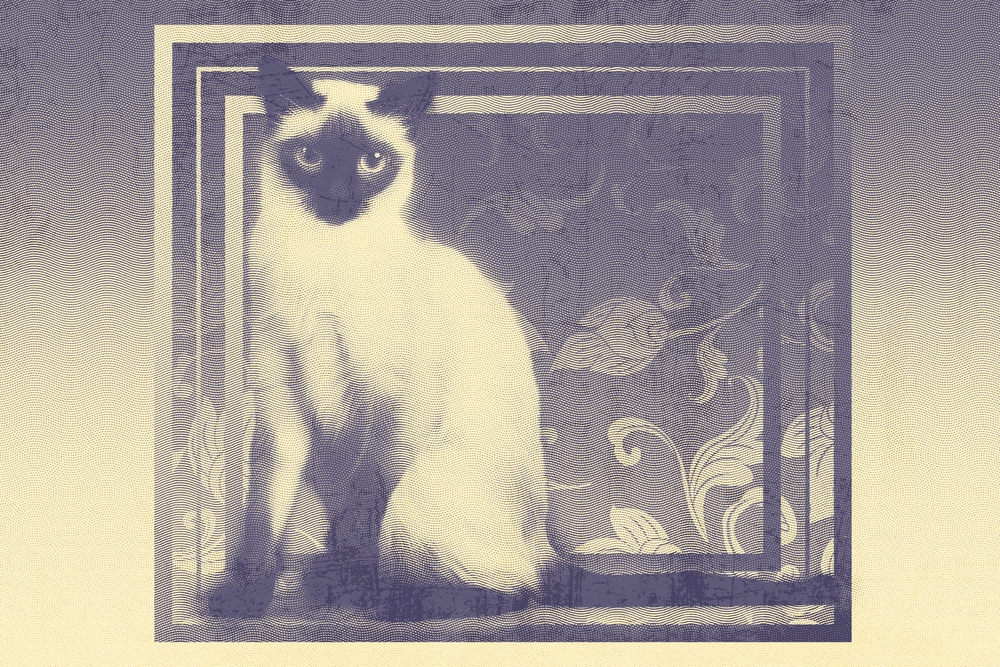 ภาพประกอบแมวสยามบนพื้นหลังแบบศิลปะไทย