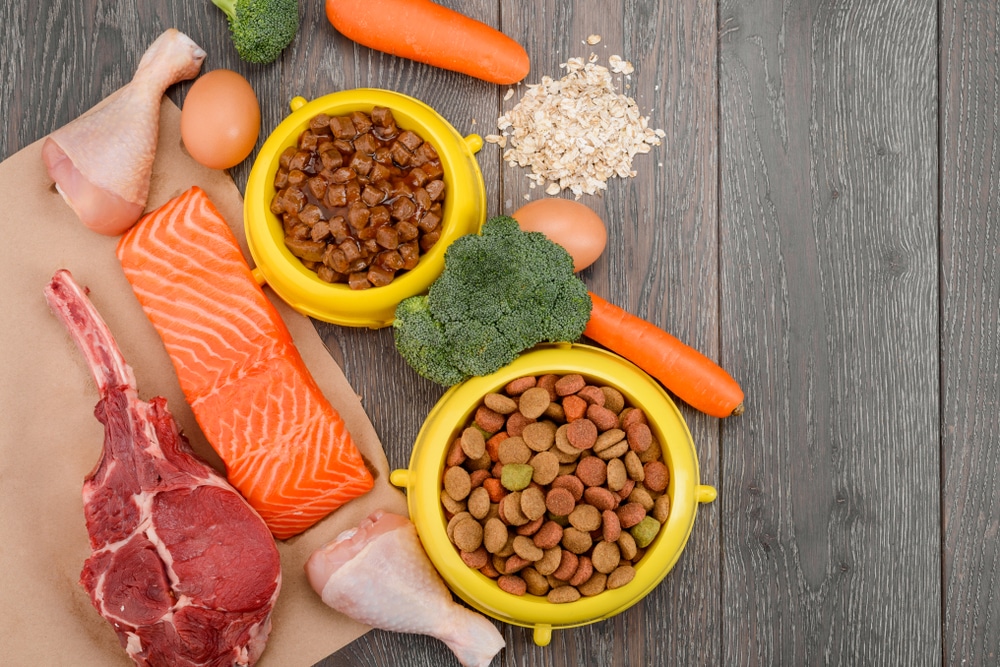 ชามใส่อาหารเปียกและอาหารเม็ด สูตรสมดุลที่มีปริมาณสารอาหารสูงเพื่อสุขภาพและการย่อยอาหารของแมวและสุนัข อาหารเปียกแมว