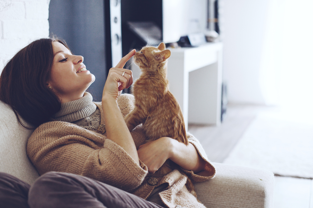 หนุ่มสาว ผู้หญิง การสวมใส่ อบอุ่น เสื้อกันหนาว คือ พักผ่อน กับ A แมว แมวรักเรา