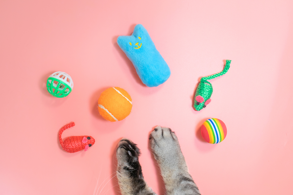 อุ้งเท้าแมวสีเทาและอุปกรณ์เสริมสำหรับสัตว์เลี้ยง: ลูกบอล หนู หวี พื้นหลังสีเหลือง พื้นที่ถ่ายเอกสาร วิวด้านบน แนวคิดเรื่องอุปกรณ์สัตว์เลี้ยง เล่นกับแมว
