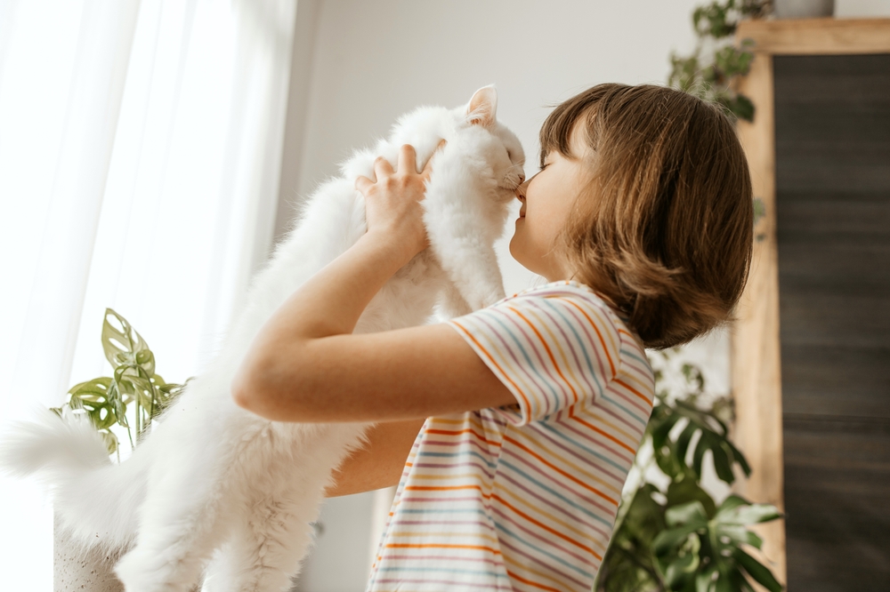 เด็กสาววัยรุ่นเล่นกับลูกแมวขนปุยสีขาวอันเป็นที่รักของเธอ เด็กจูบแมว รักและดูแลสัตว์เลี้ยง